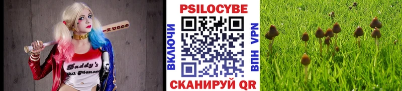Псилоцибиновые грибы мухоморы  Кочубеевское 